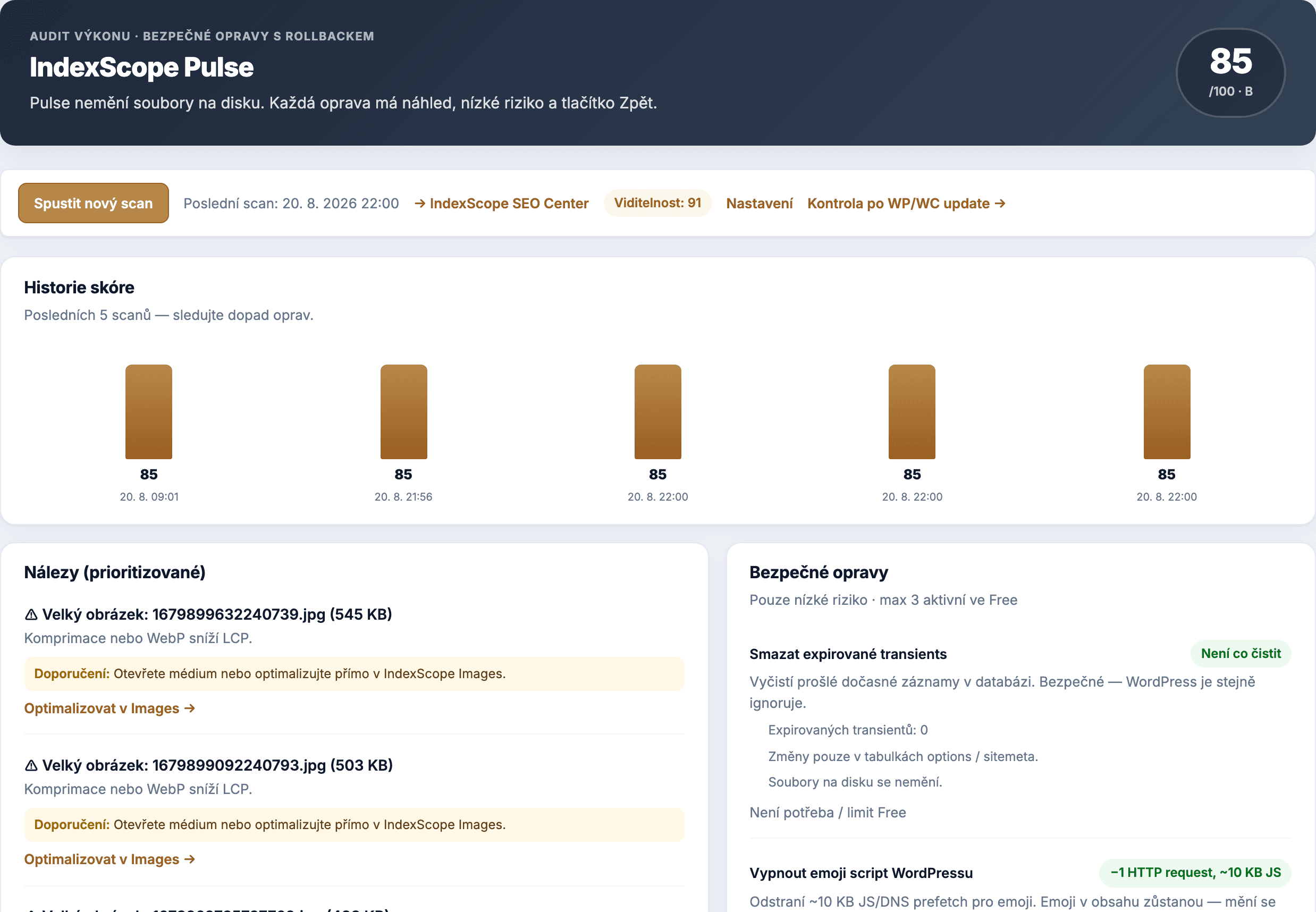 Puluno Pulse Center — výkon webu